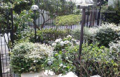 Imagem 3: Apartamento em São Paulo bairro Vila Santa Catarina