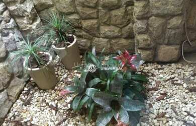 Imagem 11: Casa à venda, 240 m² por R$ 1.300.000 - Cascatinha - Juiz de Fora/MG