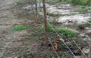 Imagem: O terreno está localizado em Gravatá, PE à venda por R$40.000