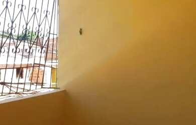 Imagem: A casa para alugar possui 2 Dormitórios, 1 Banheiro e 1 Vaga