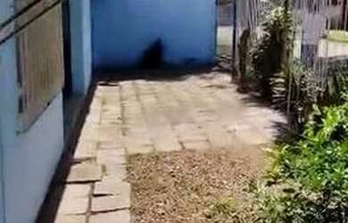 Imagem 11: Casa em Guarujá. Churrasqueira, 190m² de Área, 3 Vagas na garageme3...