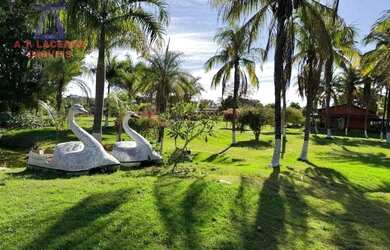 Imagem 13: Imóvel Rural com estrutura completa - 15 km de Montes Claros