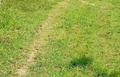 Imagem: O terreno está localizado em Taboca, Nossa Senhora do Socorro