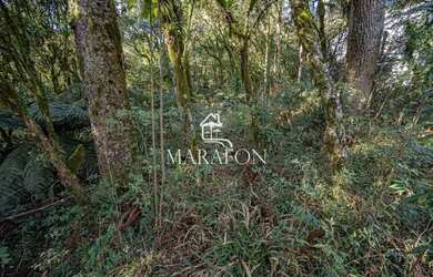 Imagem 4: TERRENO À VENDA EM CANELA NO CONDOMÍNIO PINHEIRO GROSSO