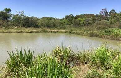 Imagem: A chácara possui 20.000m² de Área e está localizado em