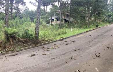 Imagem 5: Terreno - Bairro Dutra. 540m² de Área