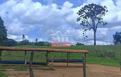 Imagem 10: Fazenda 103 Alqueires 500 Hectares Piracanjuba - GO