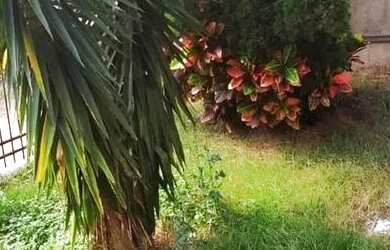 Imagem 4: Casa em Jardim Itu. Piscina, Churrasqueira, VarandaeÁrea de serviço