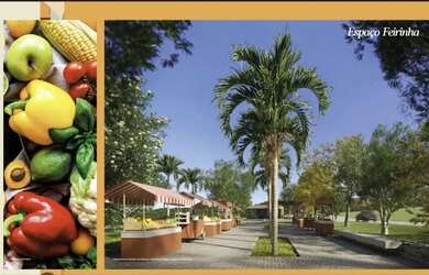 Imagem 2: Lote, área de condomínio à venda com 447 metros quadrados em Jardins...