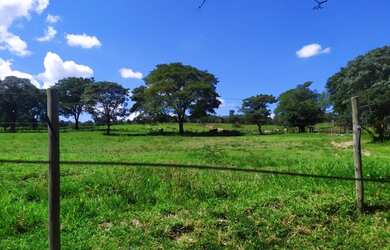 Imagem 6: Linda Fazenda entre vianópolis e silvânia