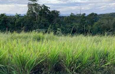 Imagem 2: TERRENO RESIDENCIAL em SANTANA DE PARNAÍBA - SP, ALDEIA DA SERRA