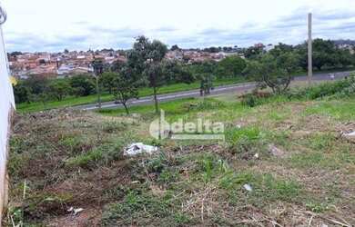 Imagem: O terreno possui 250m² de Área e está localizado em Santa