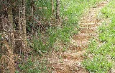 Imagem 7: Terreno 1800 m² topografia aclive leve, na frente poucas árvores, nos...