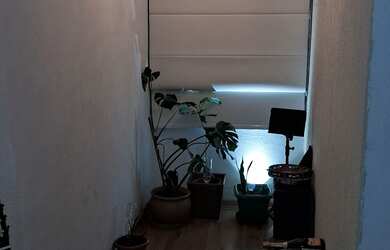 Imagem 4: Aluguel Tijuca 2 quartos. 65m² de Área, 2 Banheirose2 Dormitórios