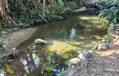 Imagem: O studio possui 1 Dormitório, 1 Banheiro, 1 Vaga na garagem