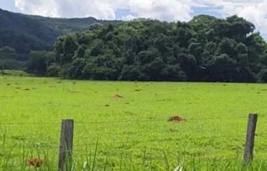 Imagem 3: Fazenda 80 alq. Em trindade 300 mil.p/ alq. Pega 40% aptos Goiânia 24 milhoes