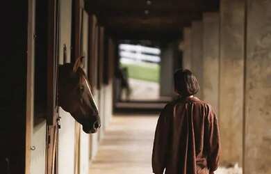 Imagem 7: Lotes Condomínio com Segurança Lazer e Haras por 96.000 6.400 por Mês