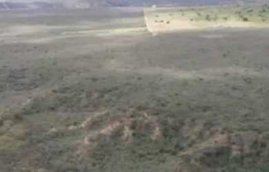 Imagem 11: Fazenda com 122 hectares de Caatinga