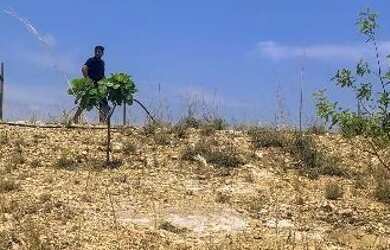 Imagem: O terreno possui 292m² de Área e está localizado em Altos