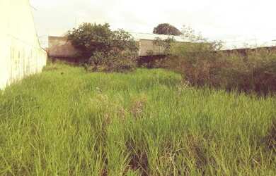 Imagem: O terreno possui 360m² de Área e está localizado em Patrimônio
