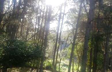 Imagem 1: Chácara. 1.000m² de Área