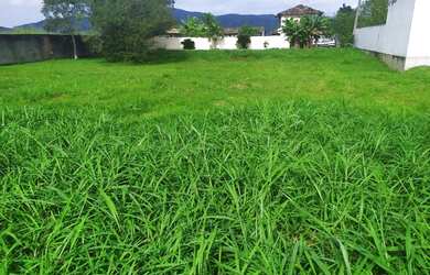 Imagem 3: Terreno de 533m2 em Ilha de Guaratiba - Rio de Janeiro - RJ