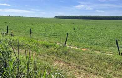 Imagem: A fazenda possui 12.800.000m² de Área e está localizado