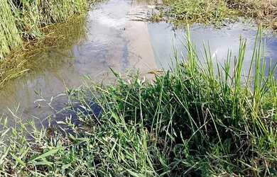 Imagem: O terreno possui 63m² de Área e está localizado em Capela