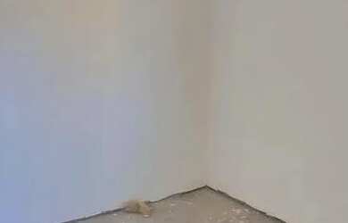 Imagem 11: SOBRADO NO CAPÃO RASO - NOVOS