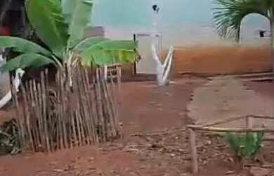 Imagem: A chácara possui 3000m² de Área e está localizado em São