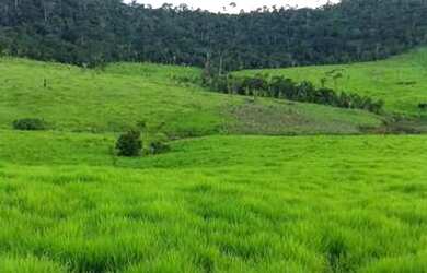 Imagem: O terreno está localizado em Colniza, MT à venda por R$500.000
