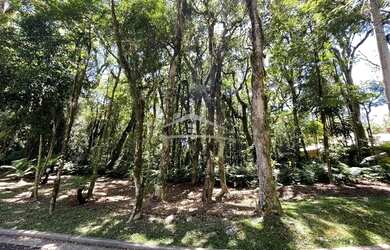 Imagem: O terreno possui 1.221m² de Área e está localizado em Gramado