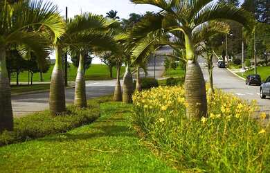 Imagem 10: Terreno à venda, 560 m² por R$ 3.000.000,00 - Alphaville Residencial...