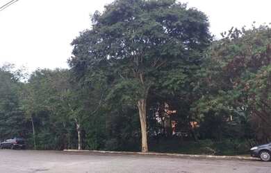 Imagem 11: Terreno à venda, 524 m² por R$ 800.000,00 - City América - São Paulo/SP