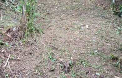 Imagem: O terreno possui 550m² de Área e está localizado em Reserva