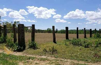 Imagem 11: FAZENDA EM CAMAPUA 15 MIL O HA
