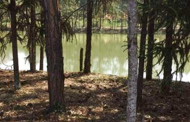 Imagem 15: Terreno à venda, 1320 m² por R$ 240.000,00 - Condomínio Terras de São...