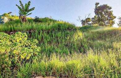 Imagem 2: Terreno vitoria regia. 10.938.400m² de Área