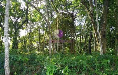 Imagem: O terreno possui 10m² de Área e está localizado em Parque