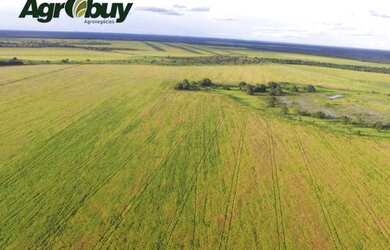 Imagem 5: Fazenda Com 1360 Alq Localizada no Município de Cocalinho-Mt