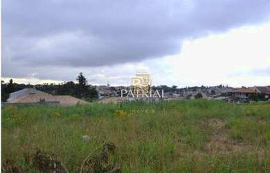 Imagem: O terreno possui 9.139m² de Área e está localizado em Campo