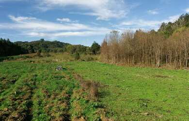 Imagem: A fazenda possui 15.000m² de Área e está localizado em Centro
