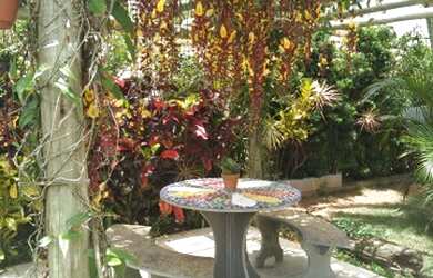 Imagem 16: Linda casa na Praia do Rosa em amplo terreno arboriza de 1170m²