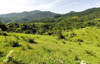 Imagem 12: Sítio à venda por R$ 690.000, 36 hectares, lindas pastegens e nascentes