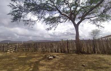 Imagem: A fazenda está localizado em Quixeramobim, CE à venda por