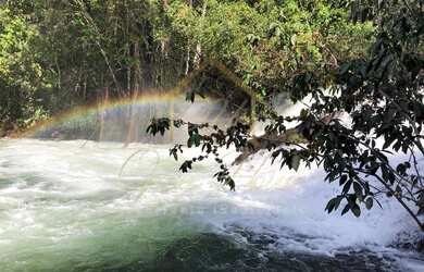 Imagem 5: Vendo ótima fazenda entre Nova Mutum e Campo Novo do Parecis