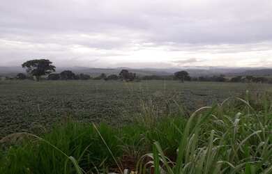 Imagem: A fazenda possui 46m² de Área e está localizado em Centro