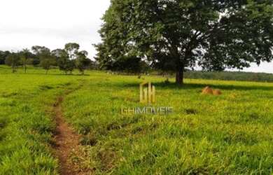 Imagem 8: Sítio à venda, 280784 m² por R$ 1.350.000,00 - Vila República - Goiás/GO