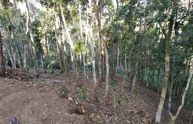 Imagem: O terreno possui 404m² de Área e está localizado em Cônego