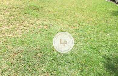 Imagem 1: Terreno à venda, 602 m² por R$ 890.000 - Condomínio Terras de Vinhedo - Vinhedo/SP